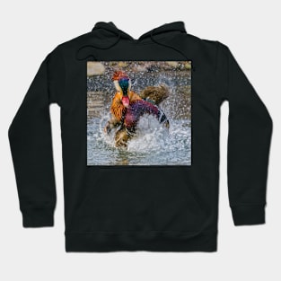 Mandarin Duck Splashing Hoodie